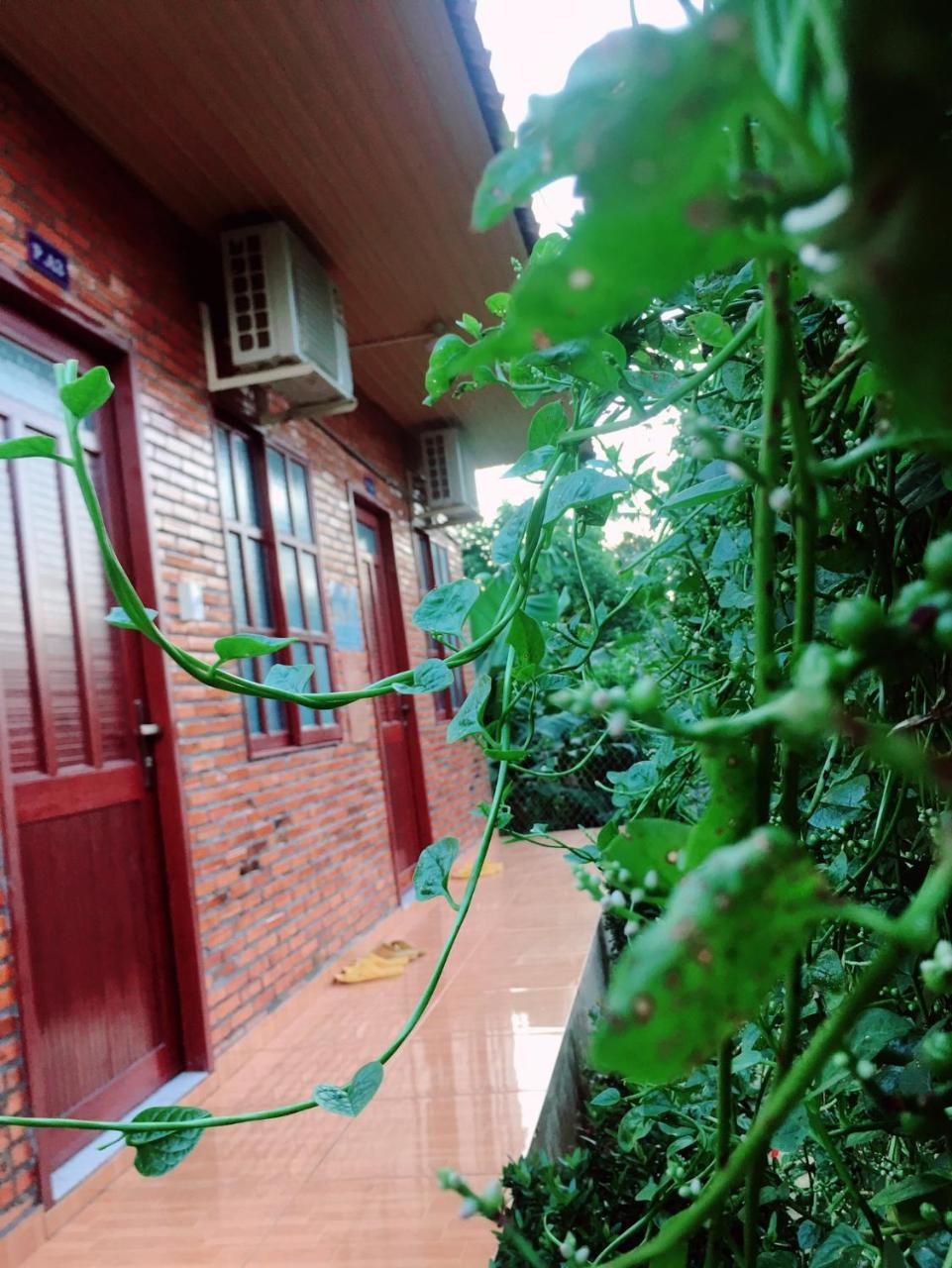 Nam Cat Tien Homestay Exterior foto